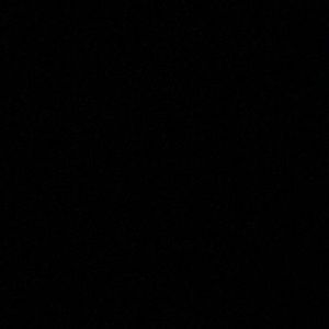 Meet your Posher, Daisy